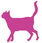 Small pink cat